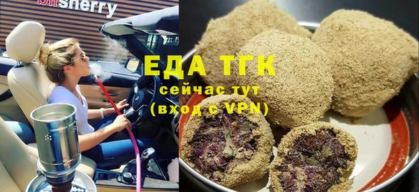индика Богородск