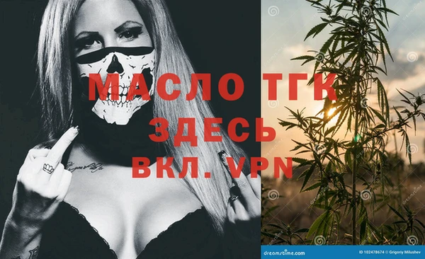 ECSTASY Бородино