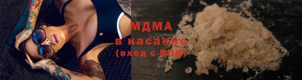 ECSTASY Бородино