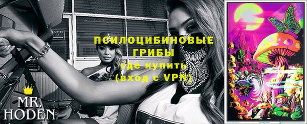 МДМА Богданович
