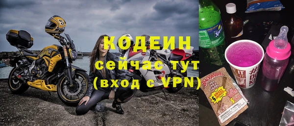 ECSTASY Бородино