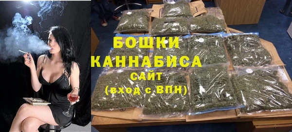 ECSTASY Бородино
