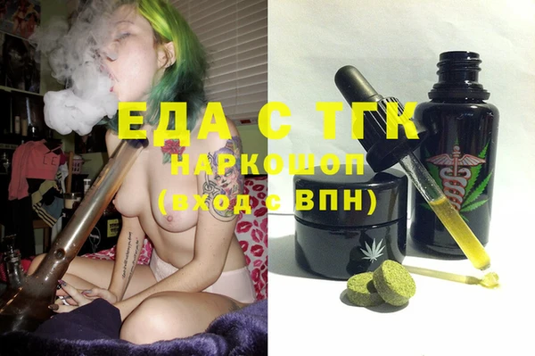 индика Богородск