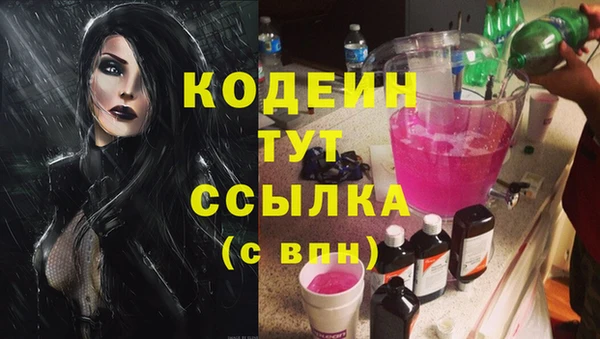 индика Богородск