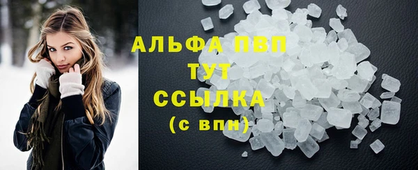 индика Богородск