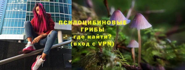 не бодяженный Богородицк