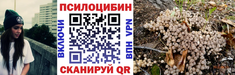 Псилоцибиновые грибы GOLDEN TEACHER  кракен ТОР  Кирсанов 